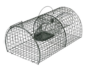 Ratten-Massenfänger Alive – GHS Landtechnik – Onlineshop